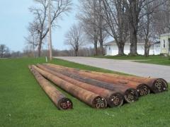 Copy of 100_0168Wood Poles.jpg